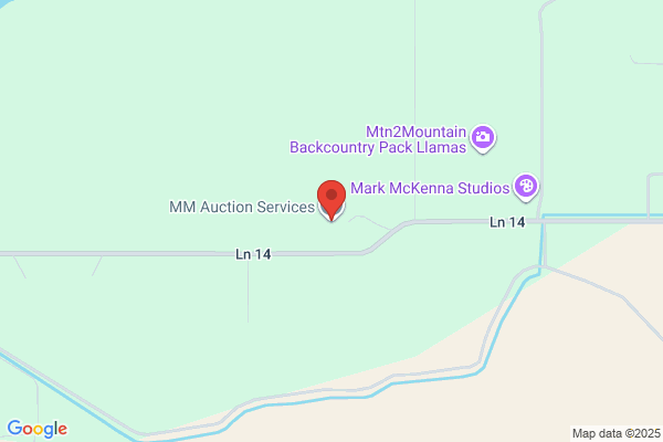 Mangold Auction Service