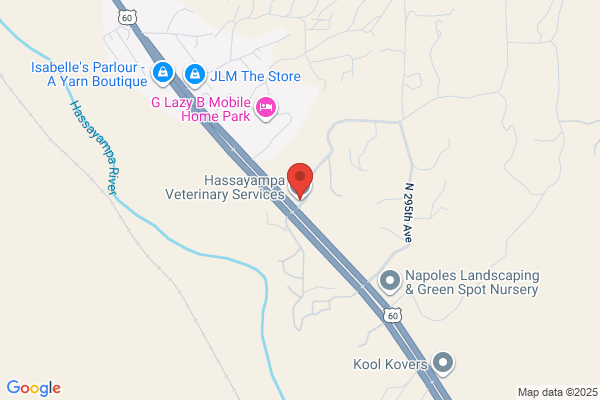 Hassayampa Veterinary Services