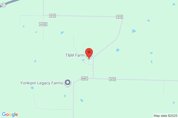 T & T Farms