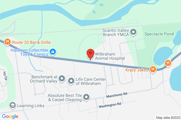 Wilbraham Animal Hospital