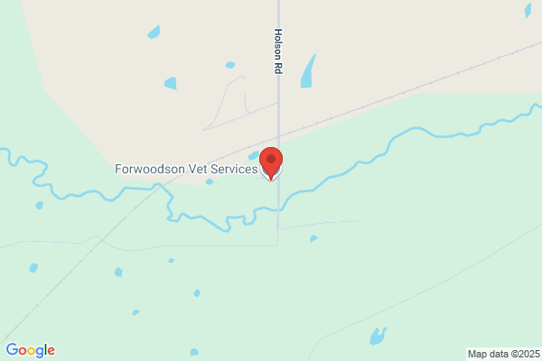 Forwoodson Vet Service