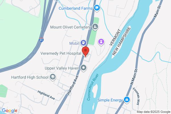 Veremedy Pet Hospital