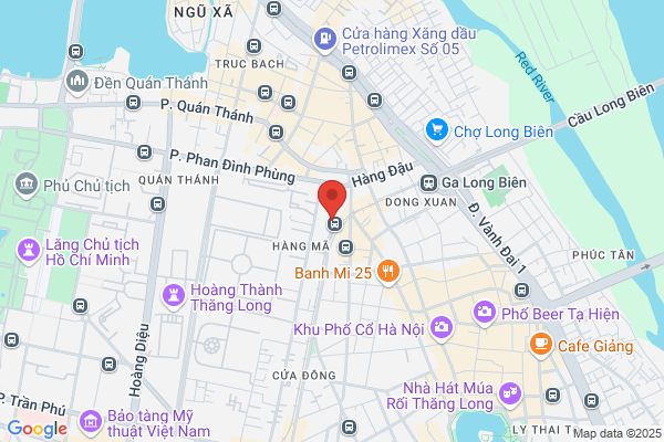 Lion Tours Bus Service