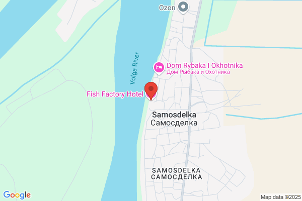 Fish Factory the