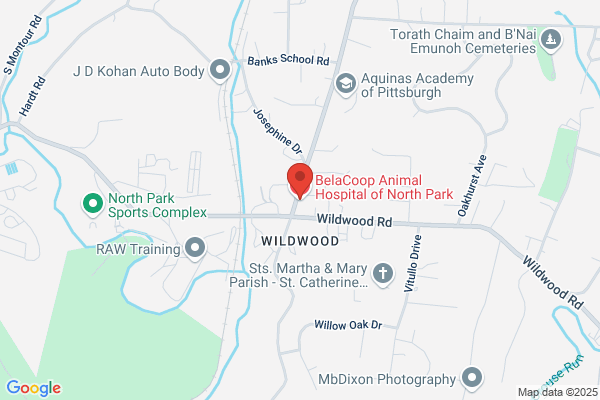 BelaCoop Animal Hospital