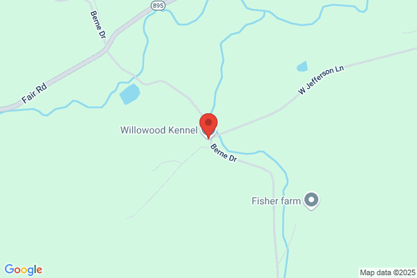 Wildwood Boarding Kennels & Cottages