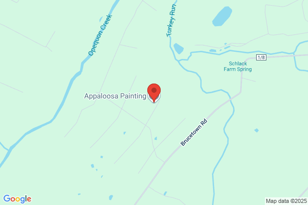 Appaloosa Painting Co