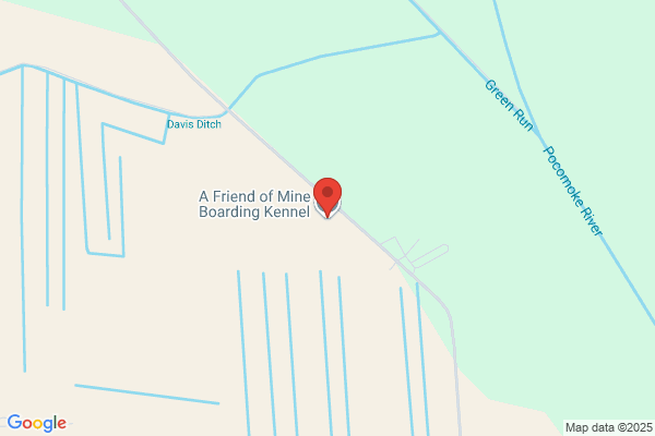 A Friend of Mine Kennel & Cattery