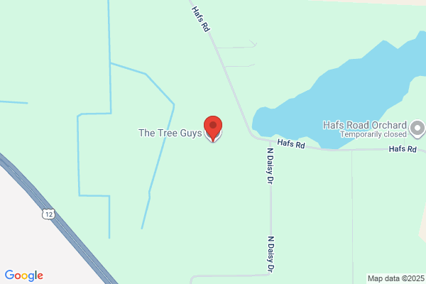 The tree guys