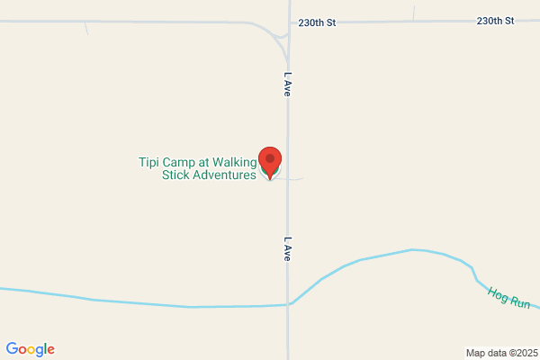 Walking Stick Adventures