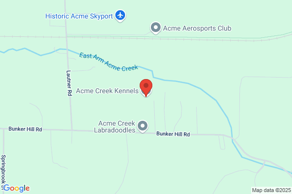 Acme Creek Kennels