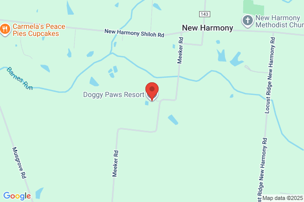 Lucky Dawg Pet Resort