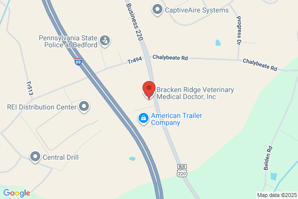 Bracken Ridge Veterinary Medical Doctor