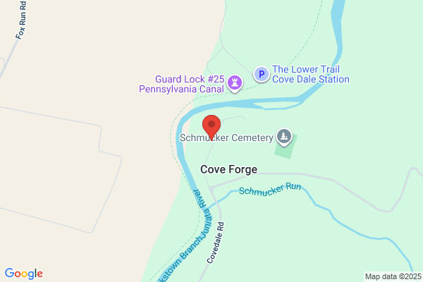 Cove Forge Behavioral Health System Inc