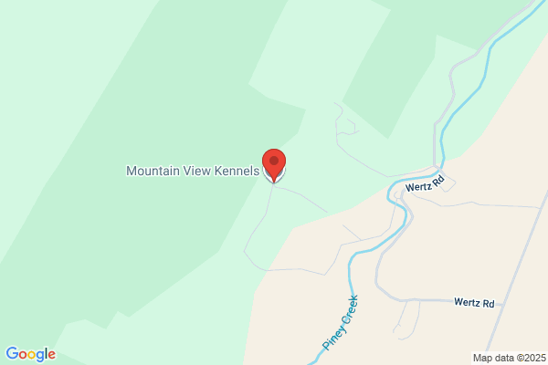 Mt View Kennels