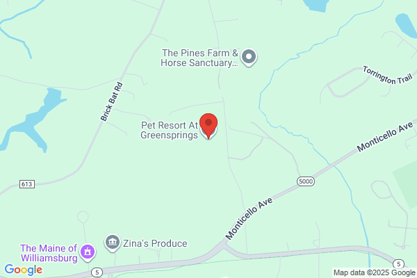 The Pet Resort At Greensprings