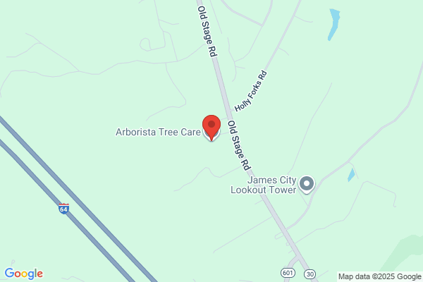 Tony Craig Certified Arborist