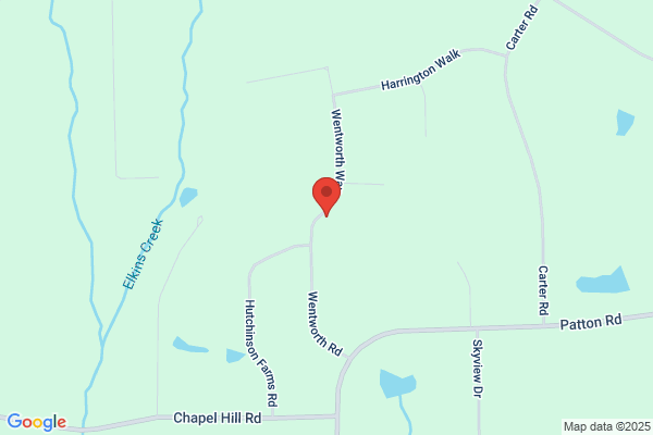 Hill Forest Management