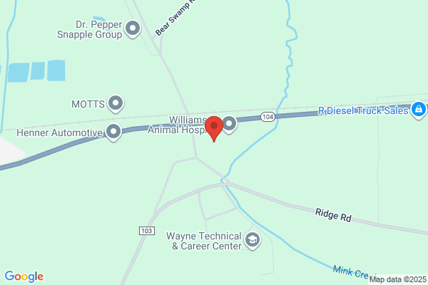 Williamson Pediatrics