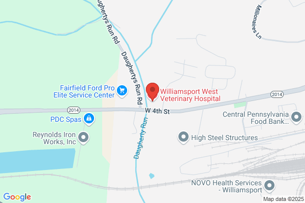 Williamsport West Veterinary Hospital