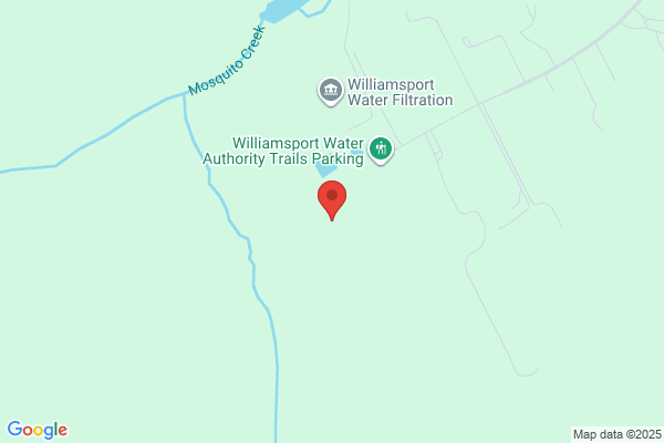 South Williamsport Area School District, Central Elementary