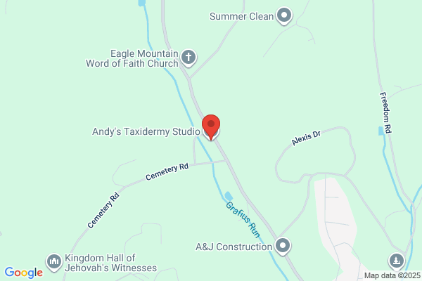 Andy's Taxidermy Studio