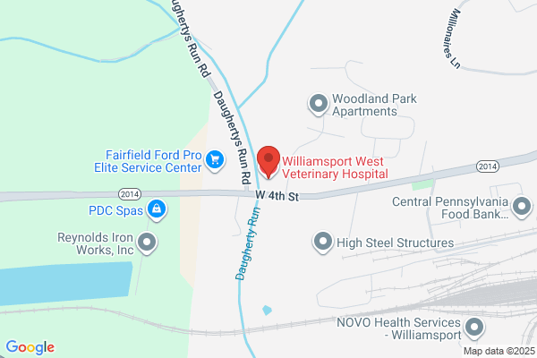 Williamsport West Veterinary Hospital