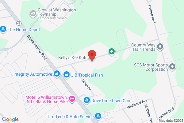 Kelly's K-9 Kuts