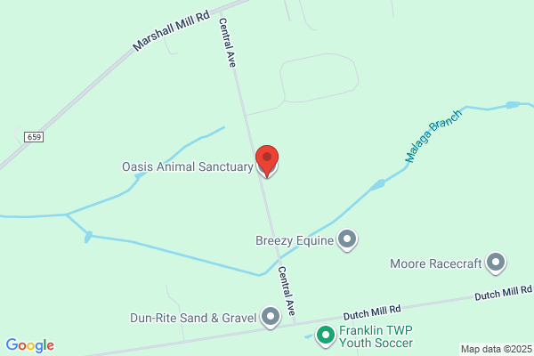 Oasis Animal Sanctuary Inc the