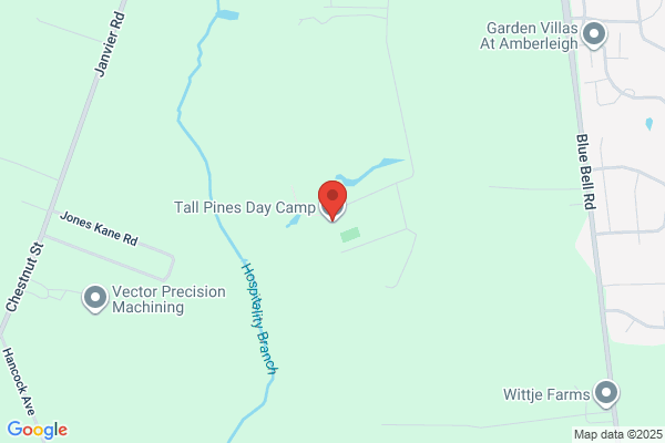 Tall Pines Day Camp