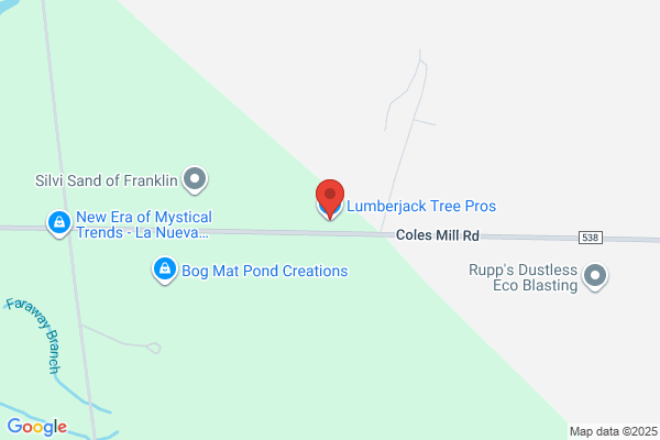 Lumberjack Tree Pros Inc
