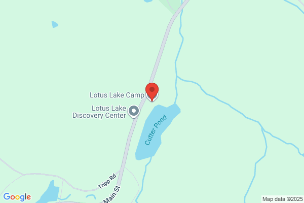 Lotus Lake Camp
