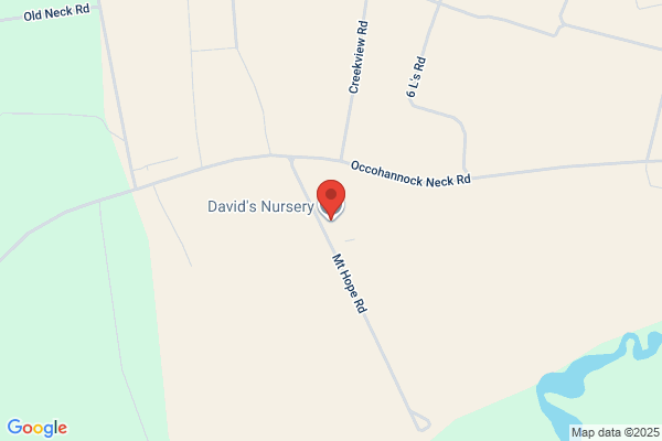 David's Nursery