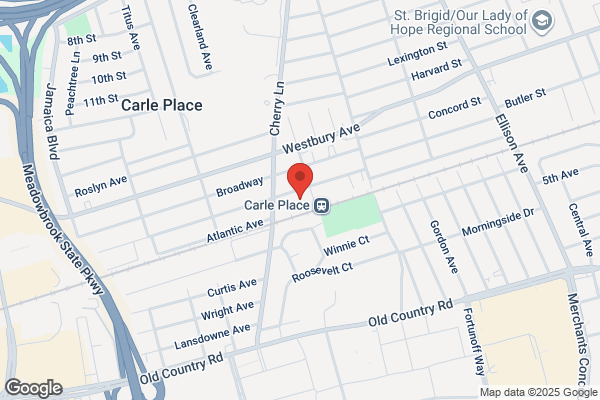 Oro-Dent Labs Inc