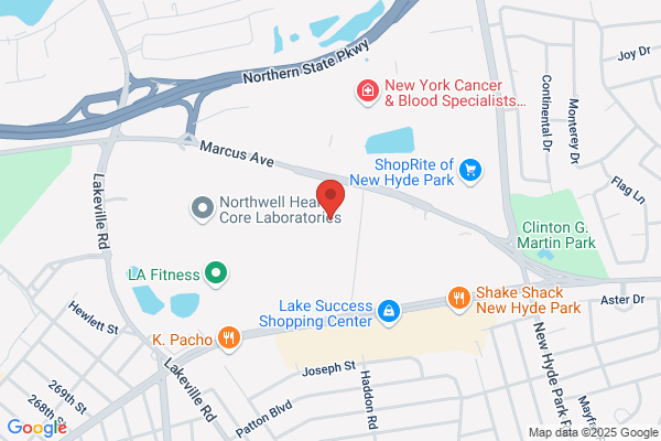 Devendra Gohel  Licensed Agent with New York Life Insurance Company