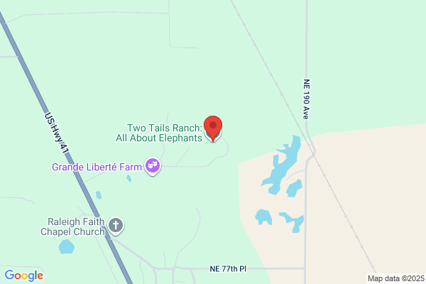 Two Tails Ranch: All About Elephants