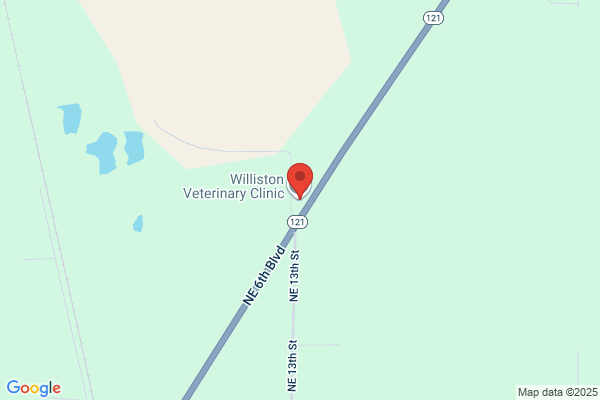 Bennett William W DVM