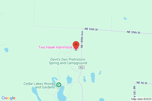 Two Hawk Hammock