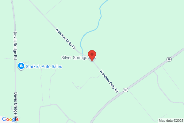 Silver Springs