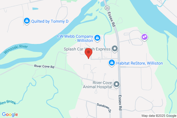 CVP AUTO LLC