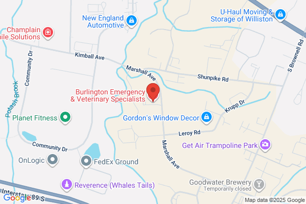 Burlington Emergency & Veterinary Specialists