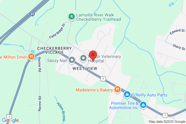 Champlain Valley Auto