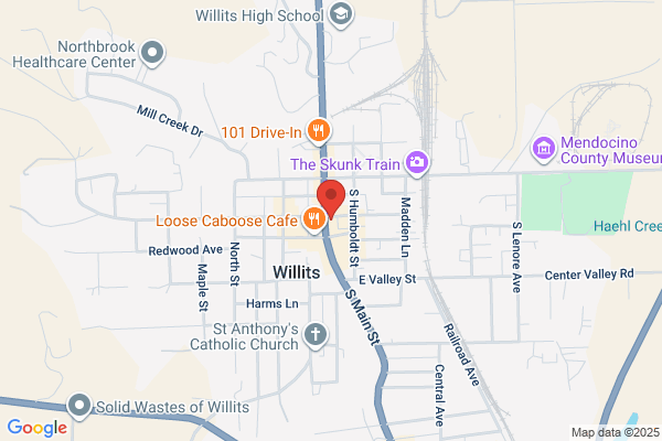 Willits Online