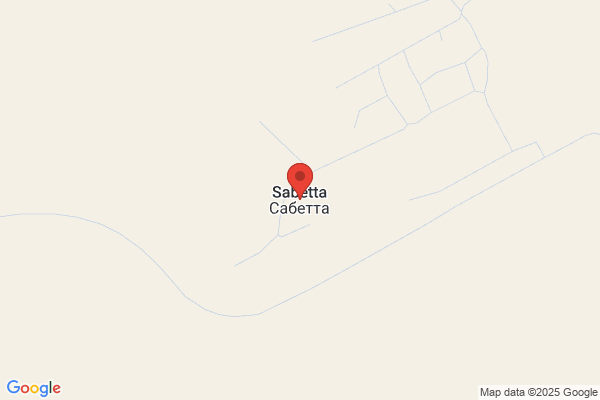 Sabetta & Son Inc
