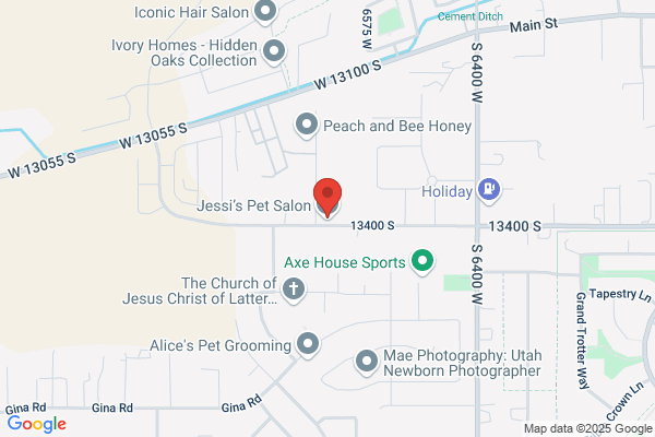 Jessamyn Pet Stop