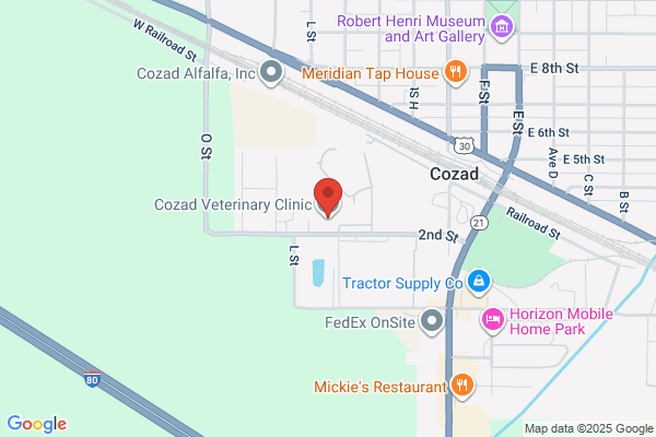 Cozad Veterinary Clinic, Oliver K Holbein