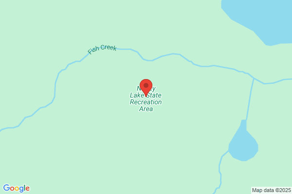 Nancy Lake Resort