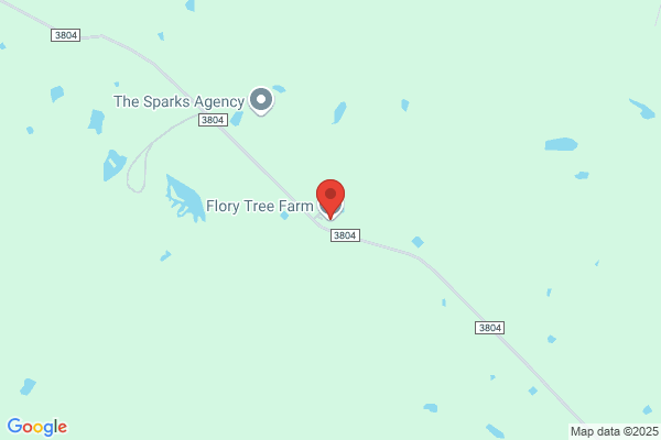 Flory Tree Farm