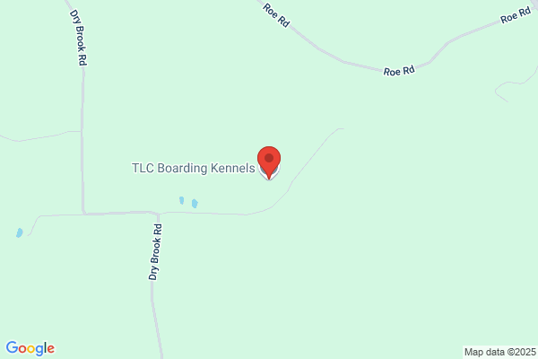 Tlc Kennels
