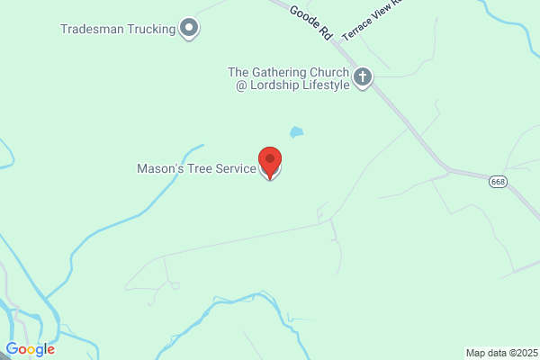 Mason's Tree Service